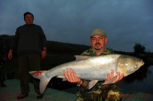 otto pescarul - Cupa Iernii, MV2